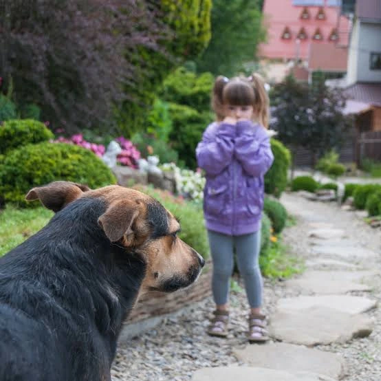 Afraid of dogs