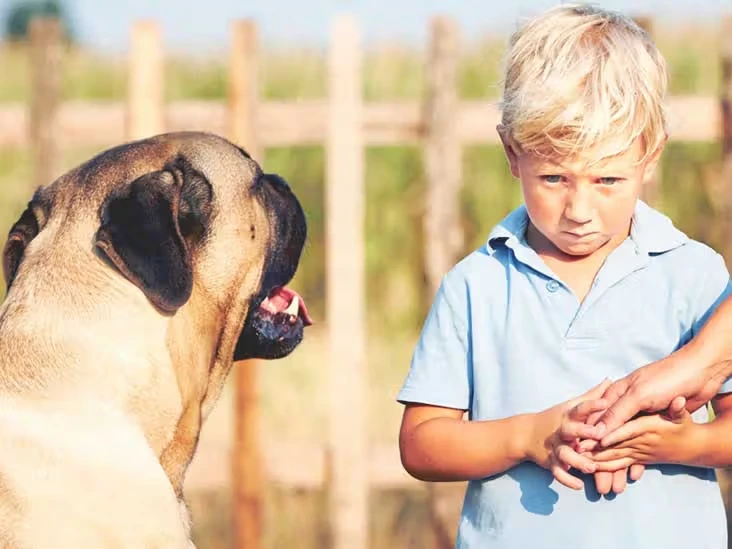 How an Activity Book for Kids Afraid of Dogs Can Build Confidence